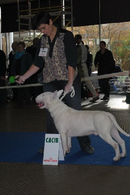 Trick or treat - Metz 2011