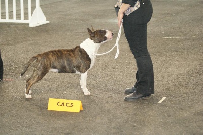 Trick or treat - Poitiers 2011