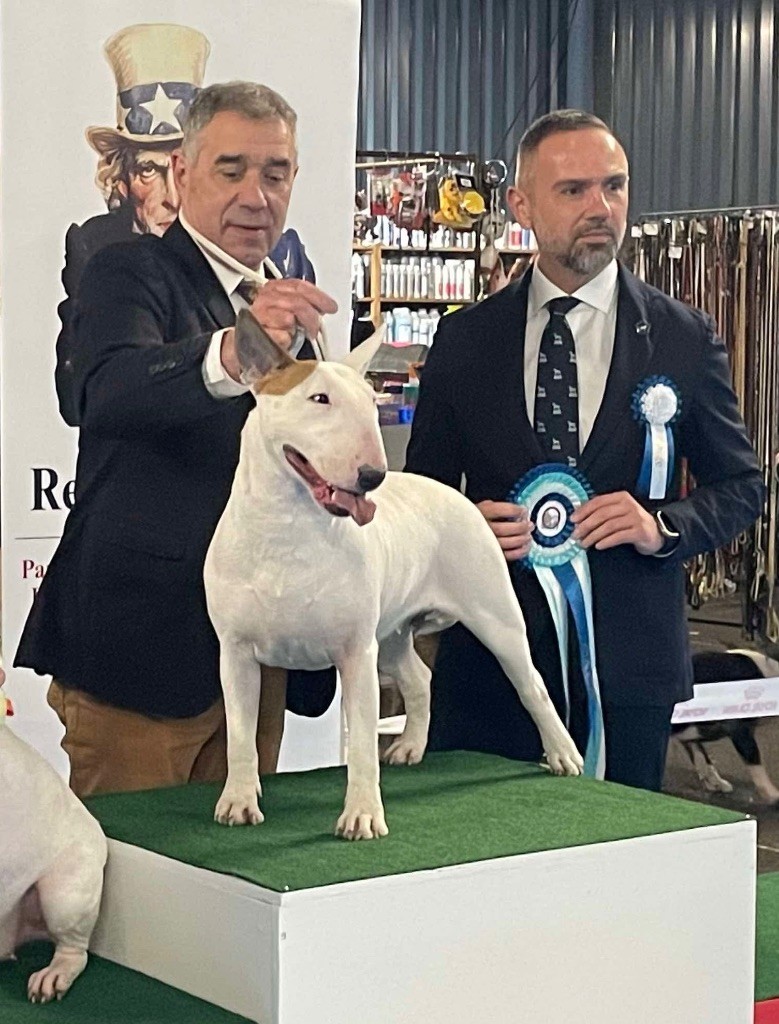 Plein de nouveaux titres de champions pour les Trick Or Treaters!